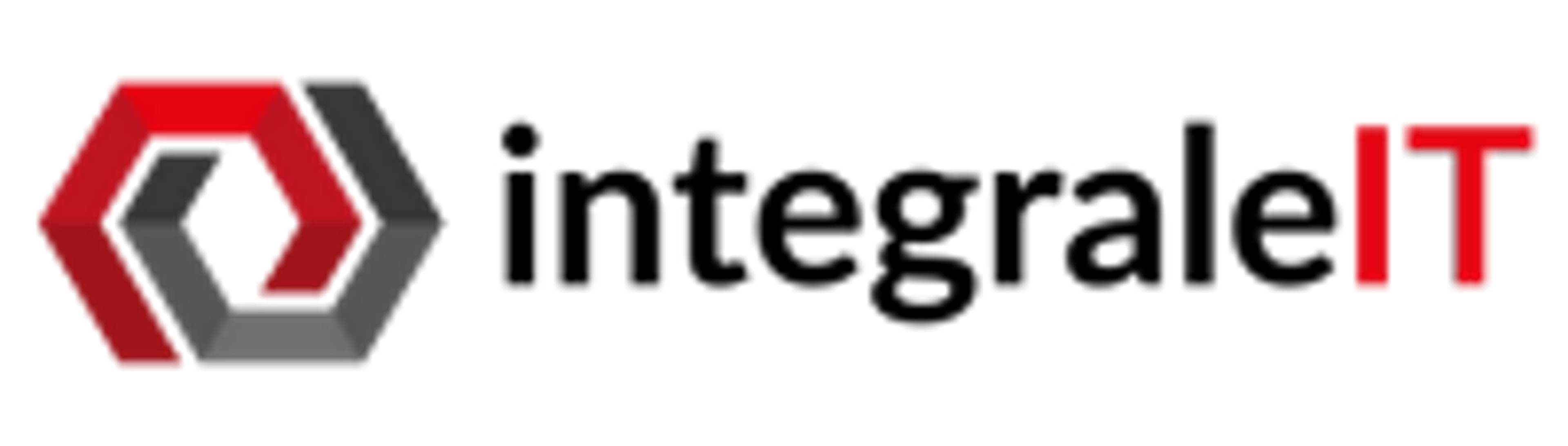 Integrale IT logo