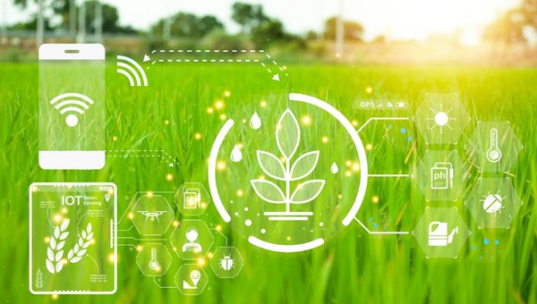 From Farm to Fallout: Ransomware’s Impact on the Food Chain