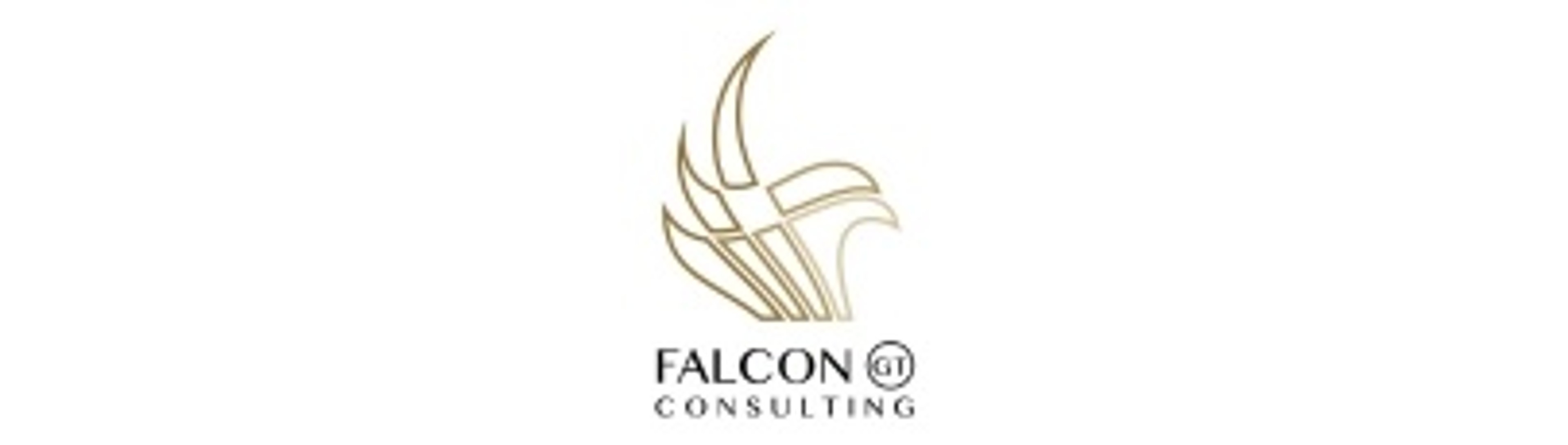 Falcon GT Consulting logo