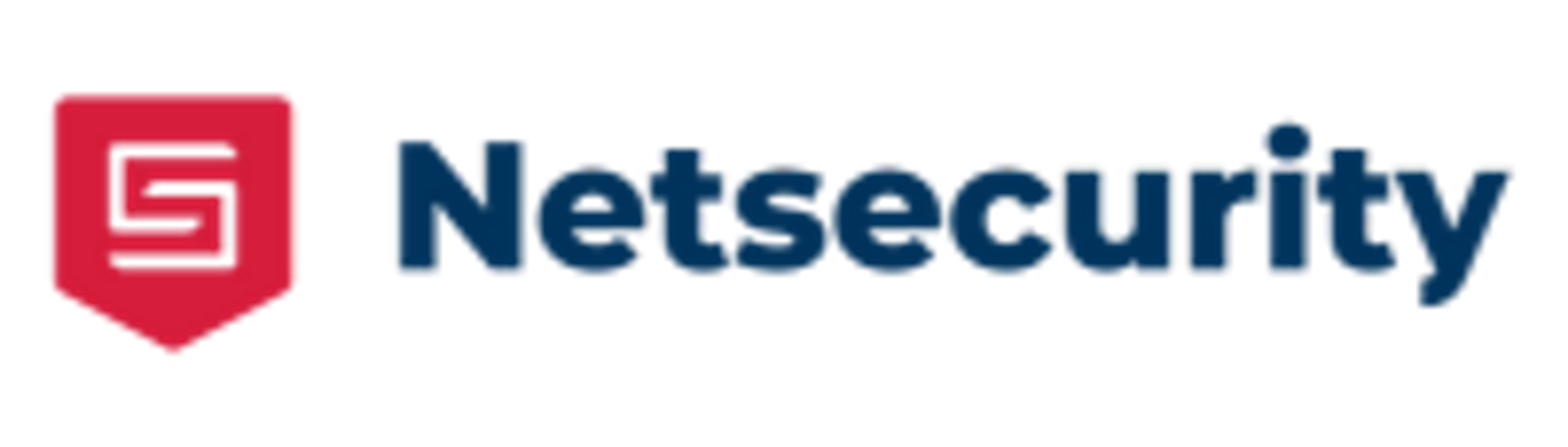 Netsecurity logo